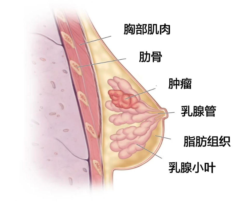1669102434720560.png 640 (2).png