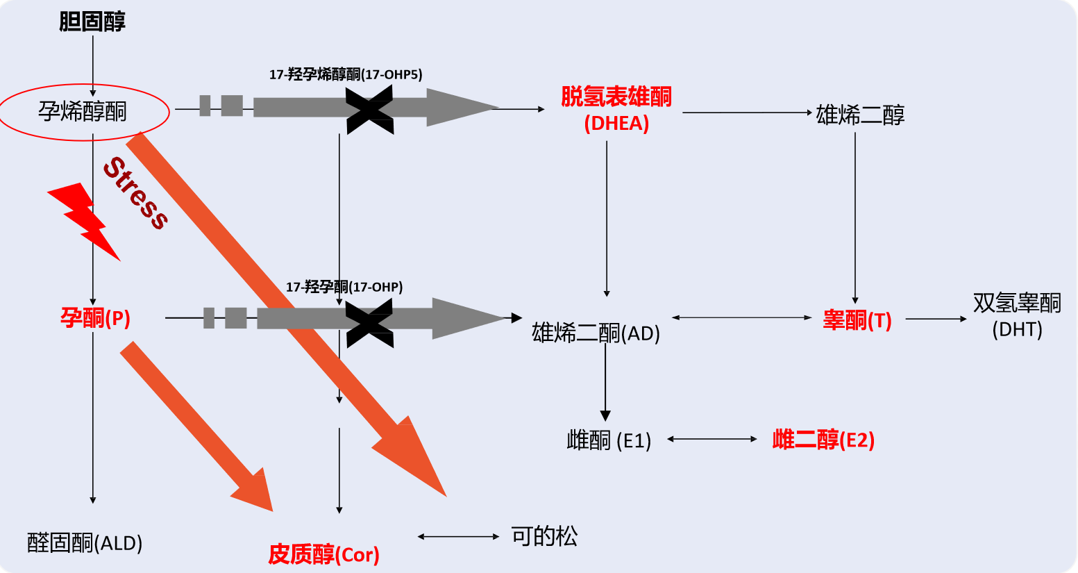 ͼƬ 1.png