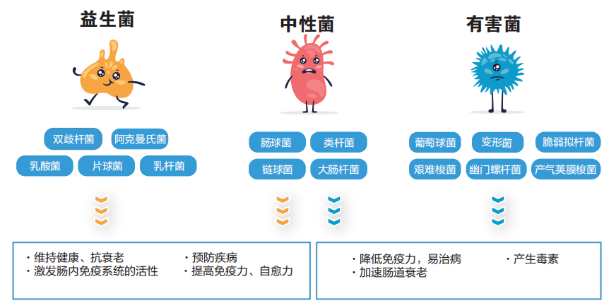 1694658881799787.png 图片1.png